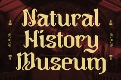 Golligan - Blackletter Font