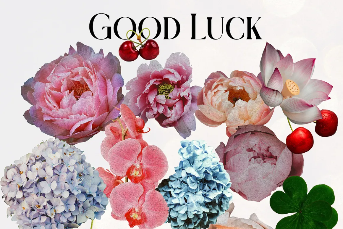 Good Luck. Collage creator.