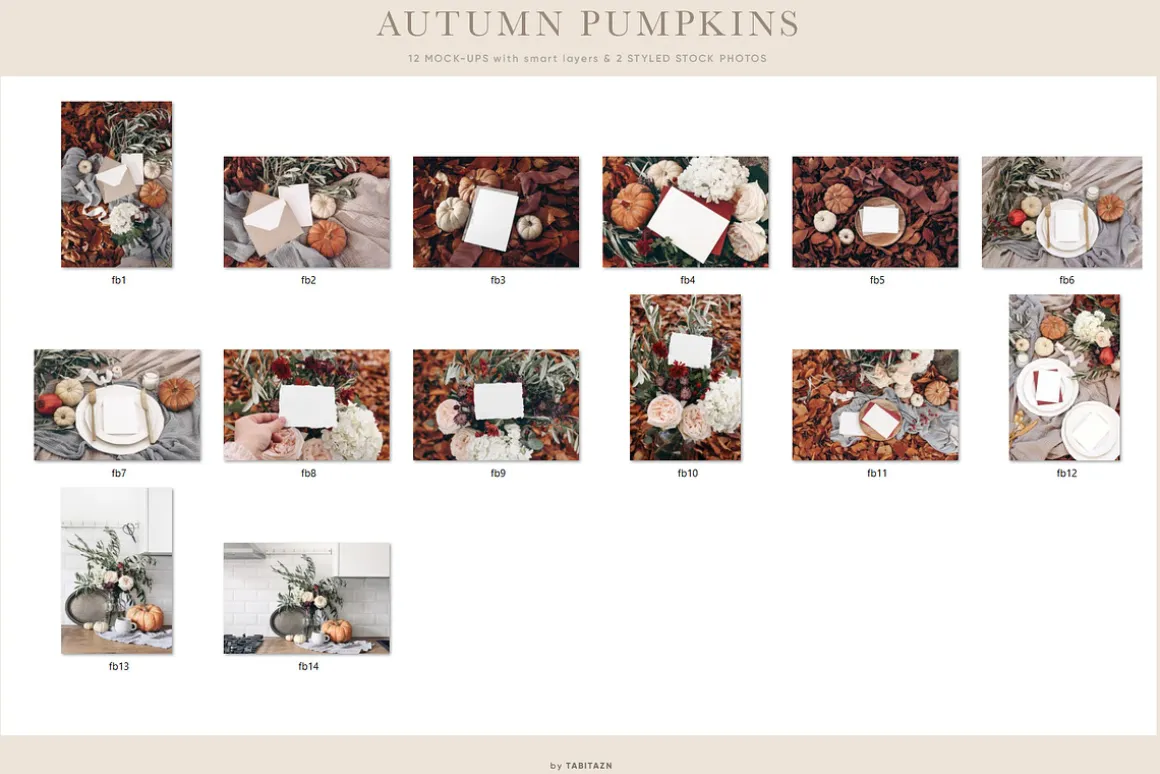 170 Gorgeous mockups bundle