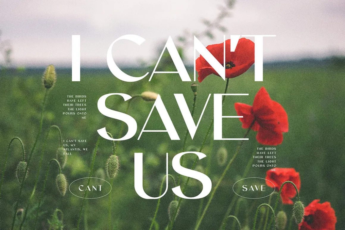 Grace Elegant Sans Serif Font