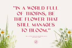 Grace Elegant Sans Serif Font