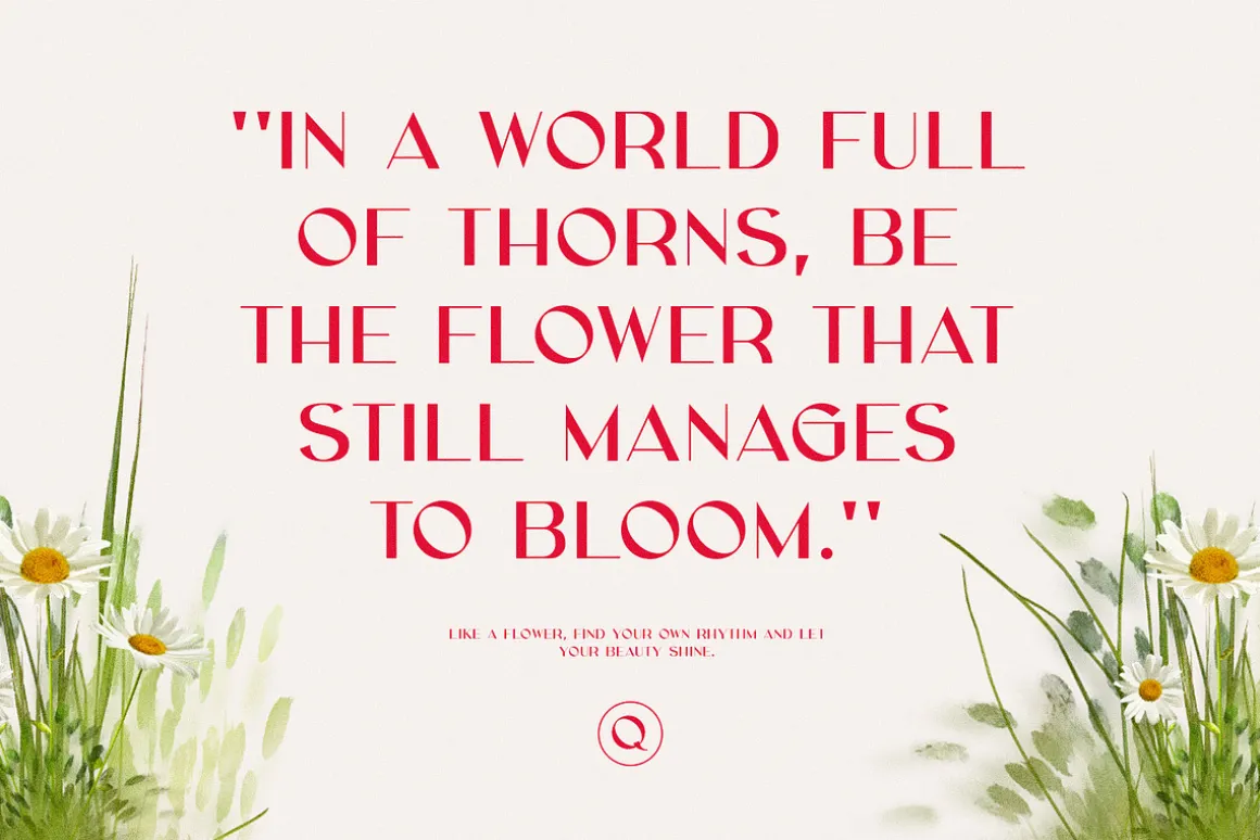 Grace Elegant Sans Serif Font