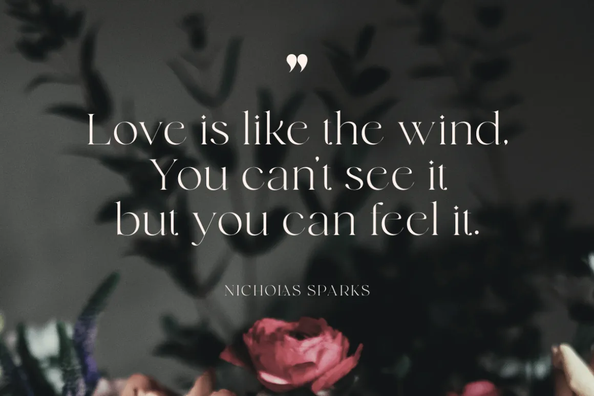grande - beauty classy serif font