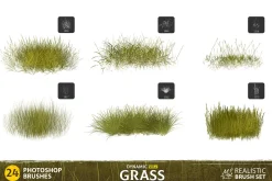 Grass Photoshop Brushes v2