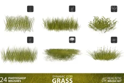 Grass Photoshop Brushes