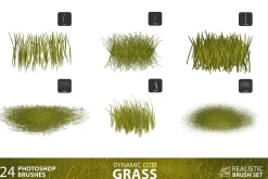 Grass Photoshop Brushes