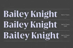 Griggs Variable Typeface