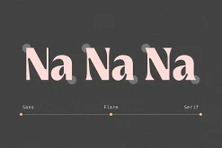 Griggs Variable Typeface