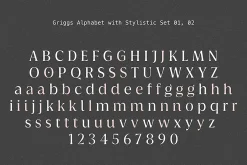 Griggs Variable Typeface