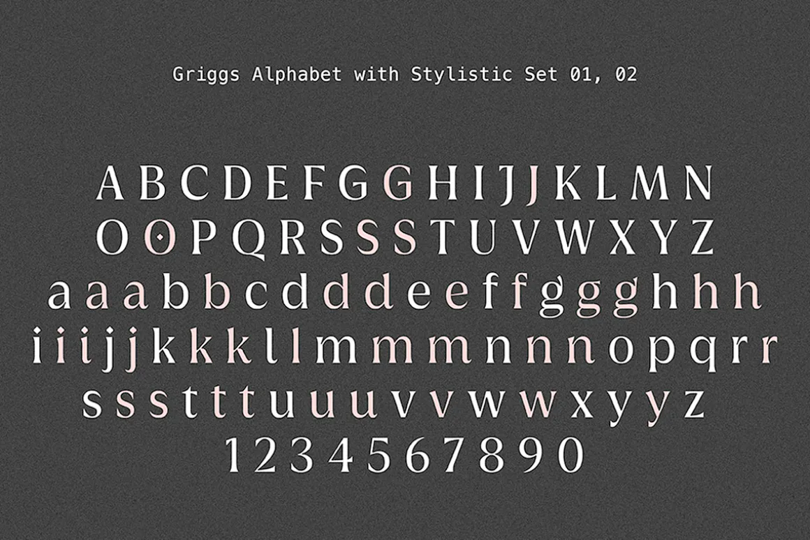 Griggs Variable Typeface