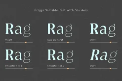 Griggs Variable Typeface