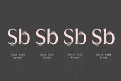Griggs Variable Typeface