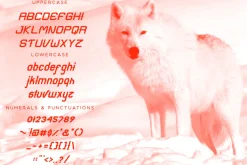 Grotesque Font