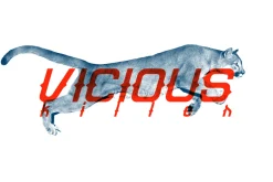 Grotesque Font