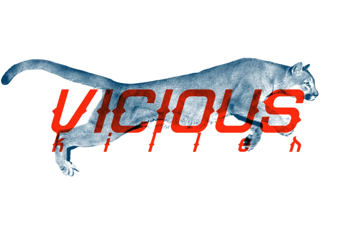 Grotesque Font