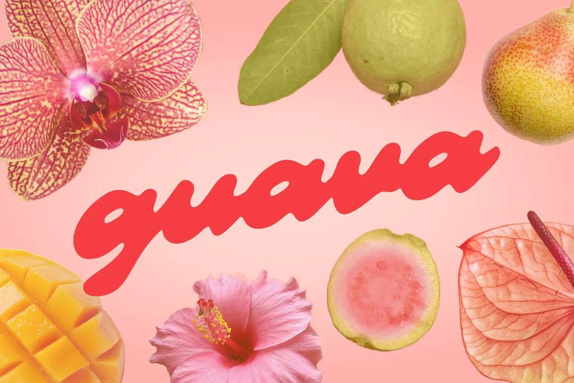 Guava - Juicy Script