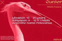 Gunter Display Font
