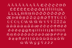 Gunter Display Font