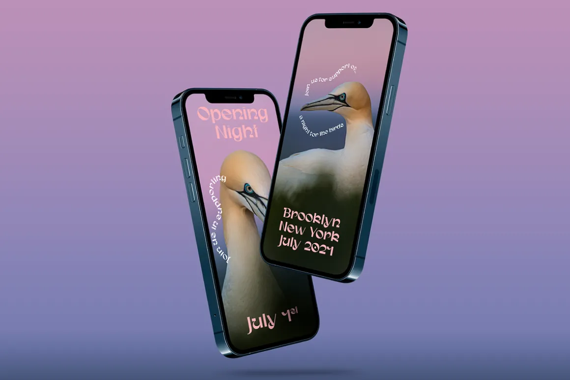 Gunter Display Font