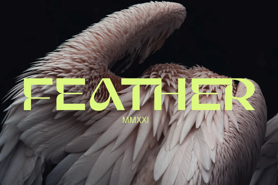 Gunter Display Font