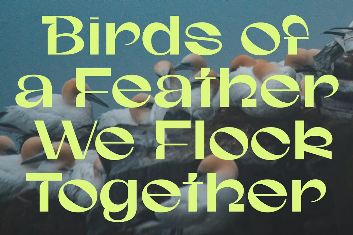 Gunter Display Font