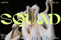 Gunter Display Font