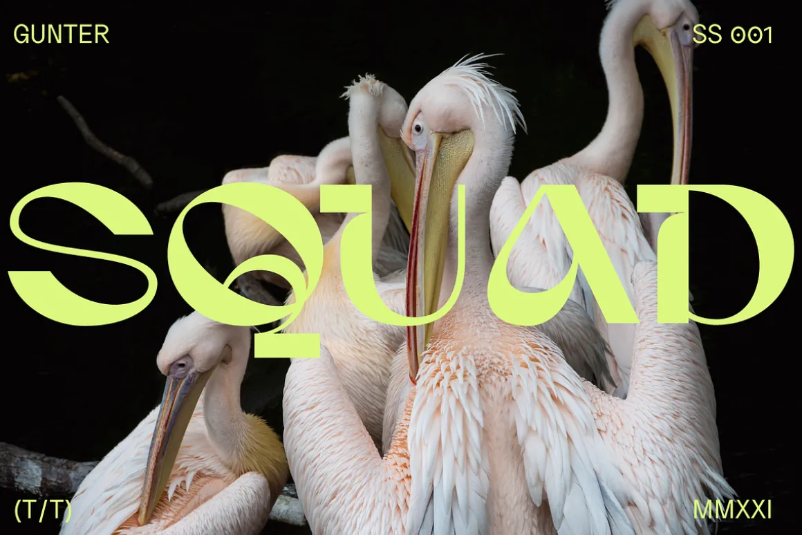 Gunter Display Font