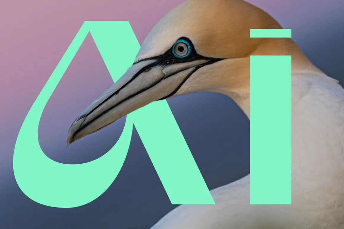 Gunter Display Font