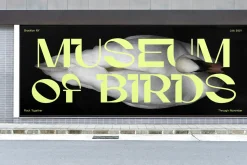 Gunter Display Font