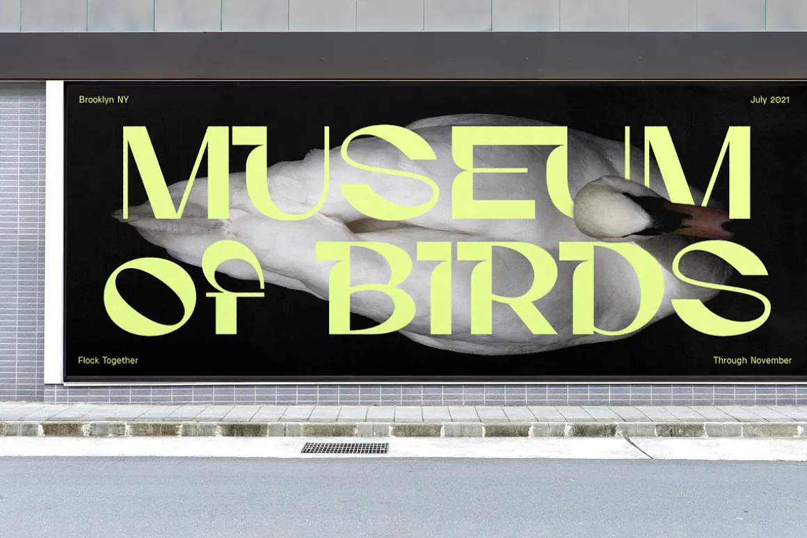 Gunter Display Font