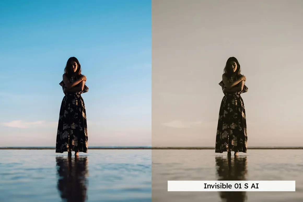 20 Half Sepia Lightroom Presets