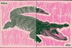 Halftone Zine Machine for Procreate