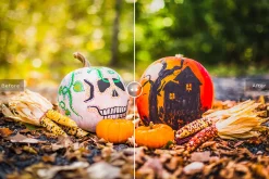 Halloween Lightroom Presets Pack