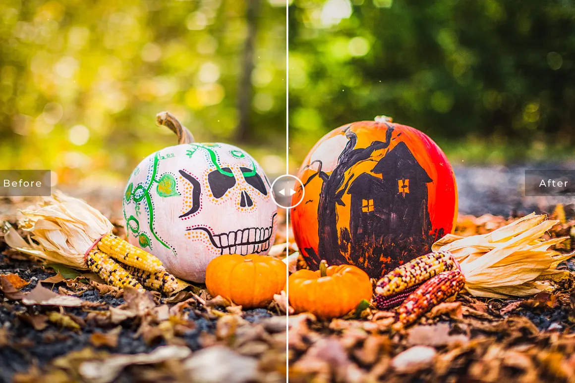 Halloween Lightroom Presets Pack