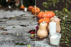 Halloween Lightroom Presets Pack