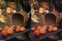 Halloween Fall Lightroom Presets