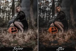 10 Halloween Lightroom Presets