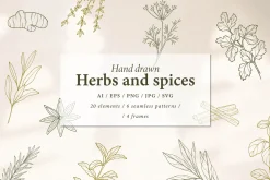 Hand drawn herbs and spices