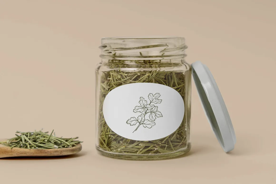 Hand drawn herbs and spices