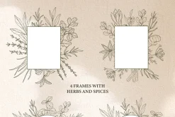 Hand drawn herbs and spices