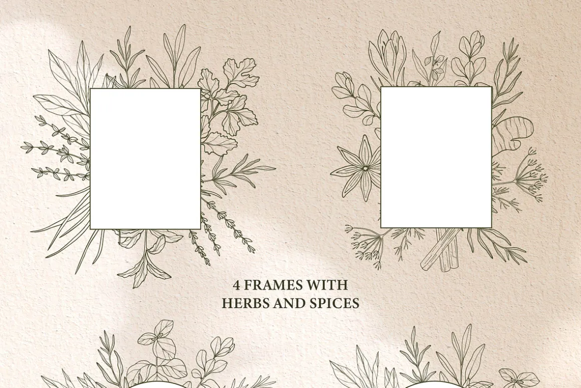 Hand drawn herbs and spices