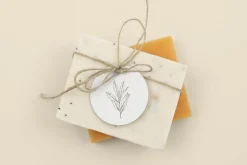 Hand drawn herbs and spices