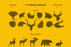 58 Hand Drawn Animal Pack