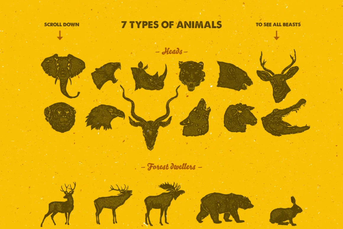 58 Hand Drawn Animal Pack