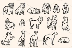 Hand-Drawn Dogs Cliparts Set