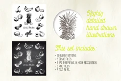 Hand drawn fruits illustrations