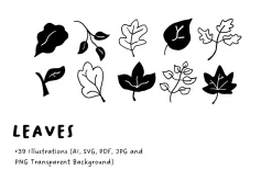 39+ Hand-Drawn Leaves Illustrations