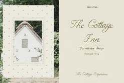 Handmade Script and Serif Font Duo