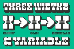 Hand Picked Font Bundle 3