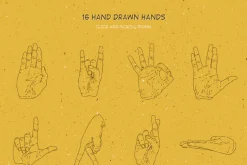 16 Hands Gestures